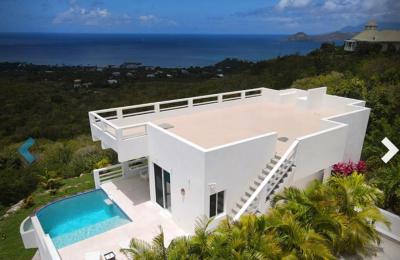 Nevis Infinity Pool Villa